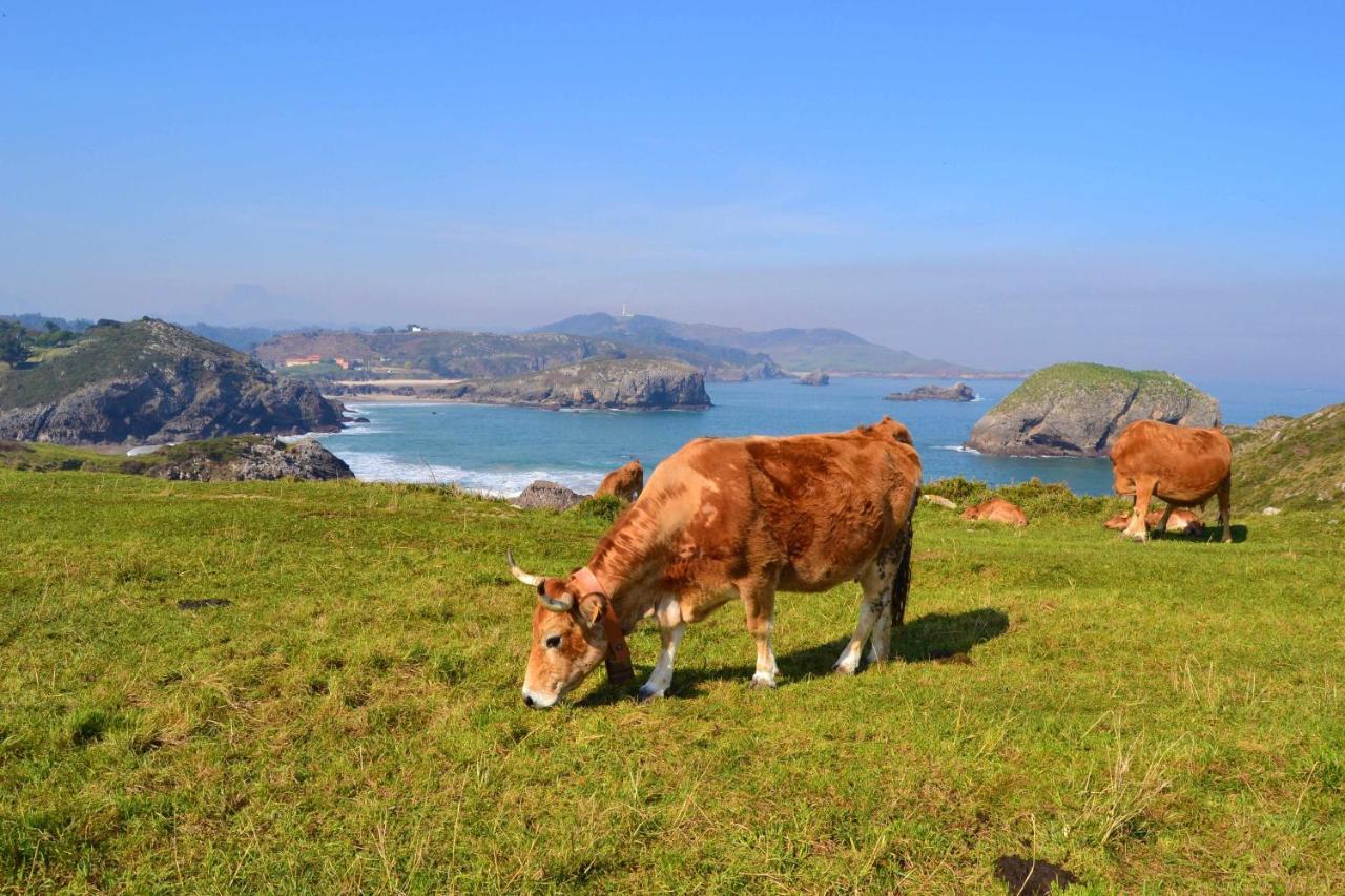 Casa Las Hortensias Quintana Llanes Dış mekan fotoğraf