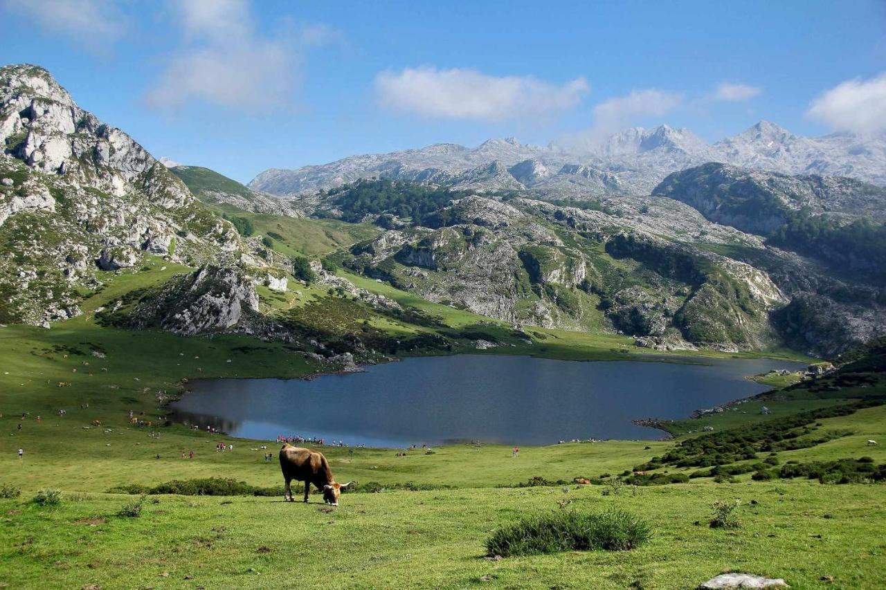 Casa Las Hortensias Quintana Llanes Dış mekan fotoğraf
